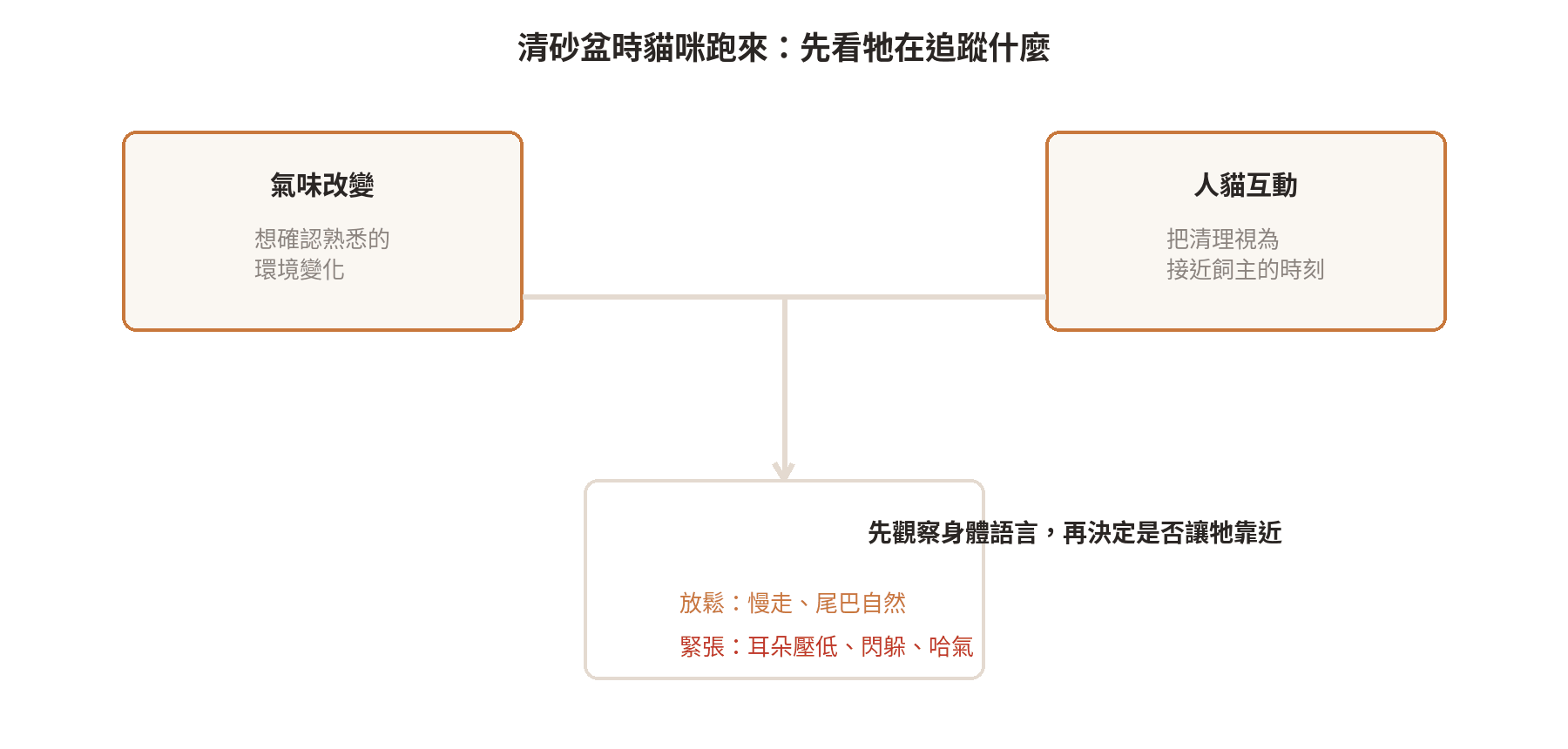 主人在清砂盆時貓咪為什麼會跑過來 清砂盆時貓咪跑來的可能原因與觀察方式