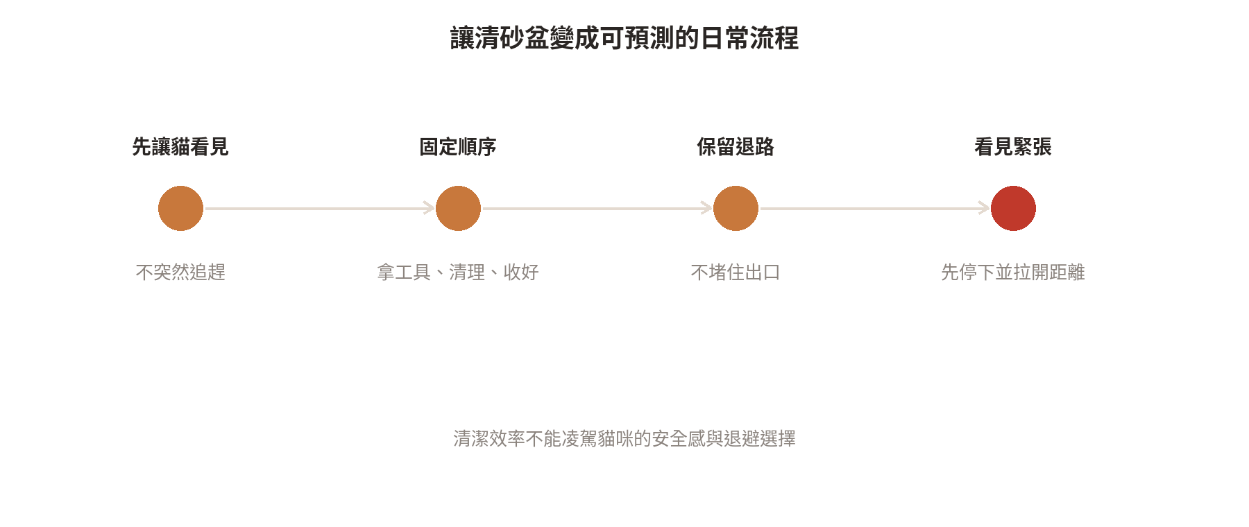 主人在清砂盆時貓咪為什麼會跑過來 讓清砂盆變成可預測的日常流程