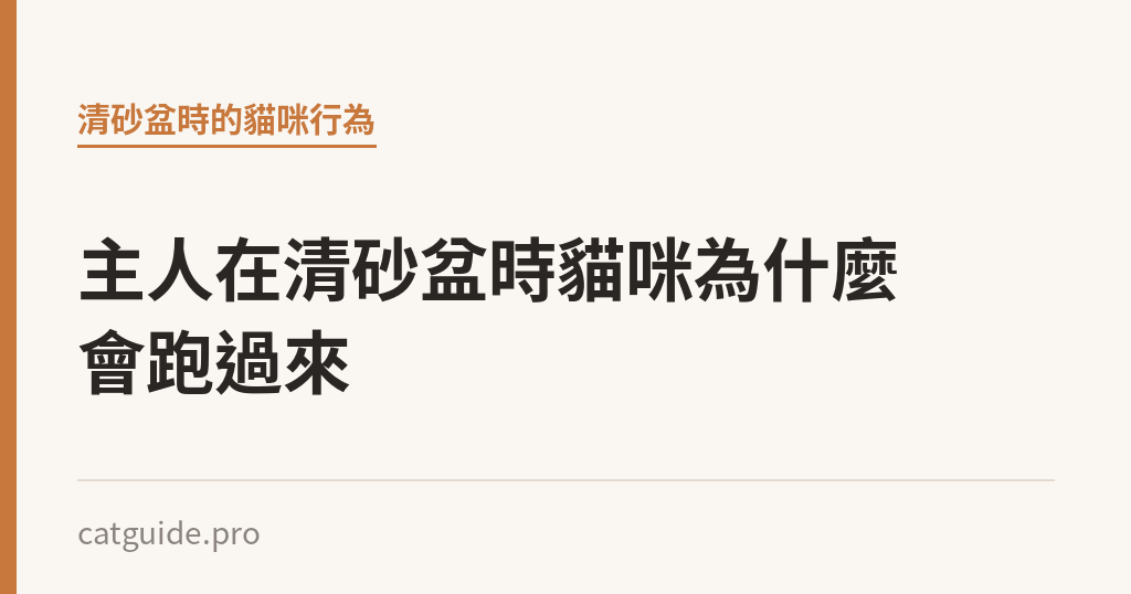 主人在清砂盆時貓咪為什麼會跑過來｜貓咪小百科