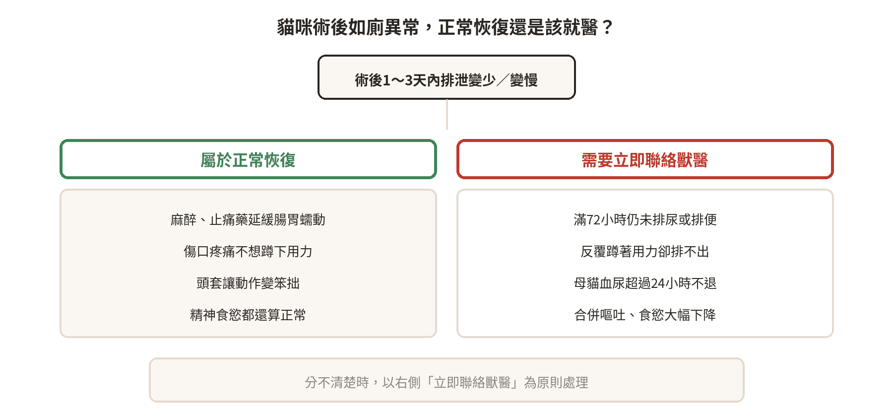 貓咪術後如廁異常判斷流程圖：正常恢復現象與需要立即就醫的警訊分類