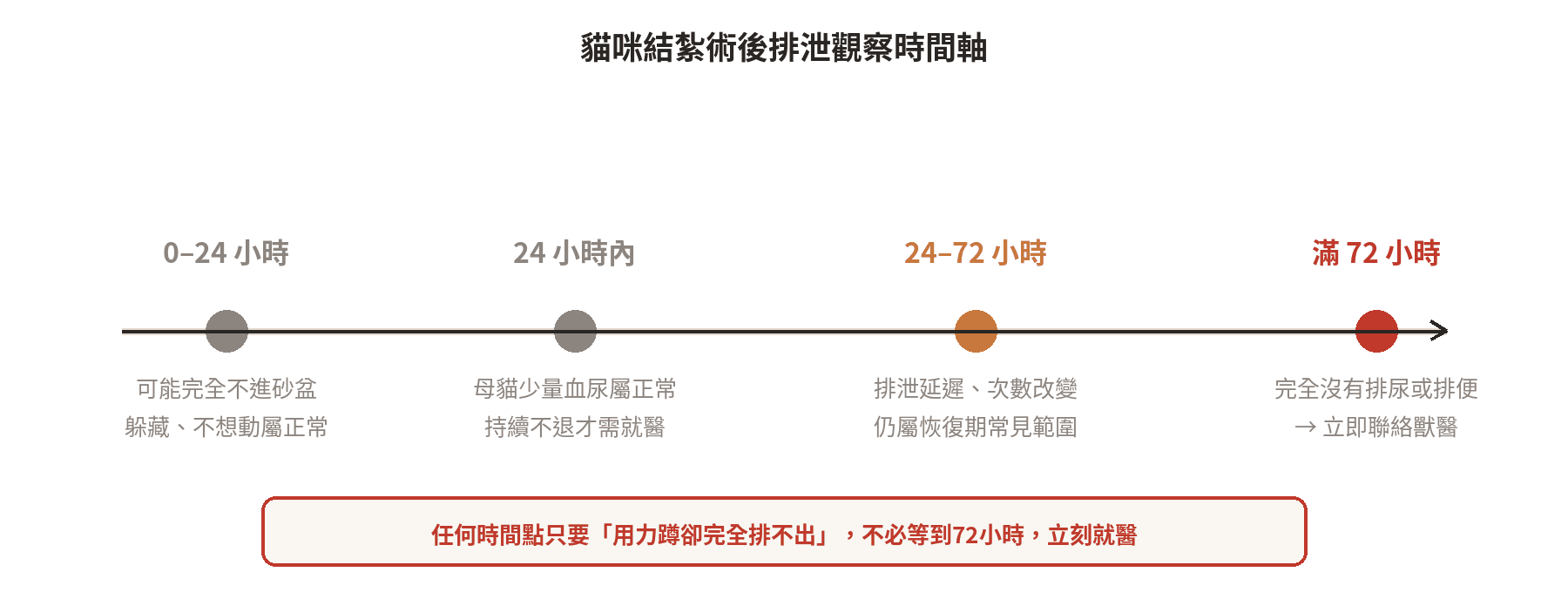 貓咪結紮術後排泄觀察時間軸：24小時、72小時各階段的正常表現與該聯絡獸醫的警訊