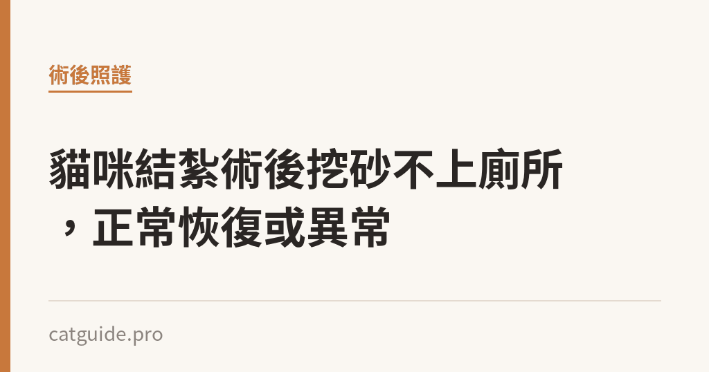 貓咪結紮術後挖砂不上廁所，正常恢復或異常｜貓咪小百科