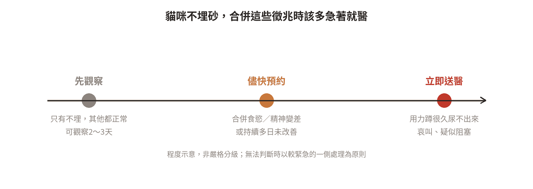 貓咪不埋砂合併不同徵兆時的就醫急迫程度：一般觀察、儘快預約、立即送醫三個等級