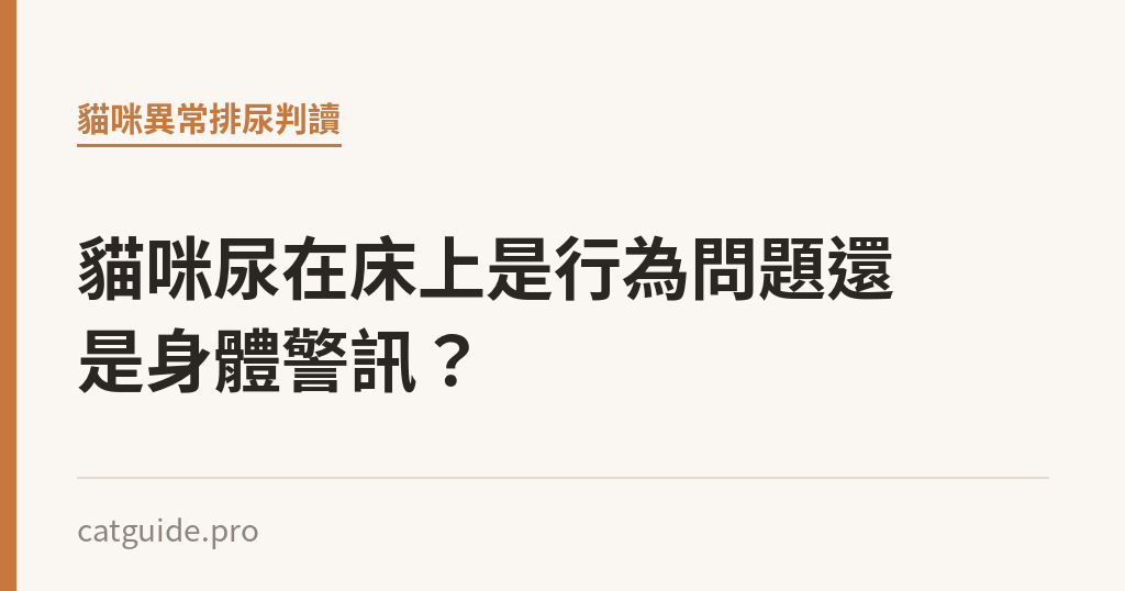 貓咪尿在床上是行為問題還是身體警訊？｜貓咪小百科