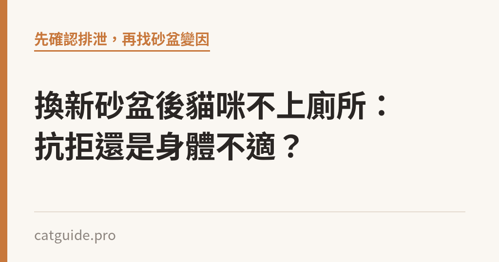 換新砂盆後貓咪不上廁所：抗拒還是身體不適？｜貓咪小百科