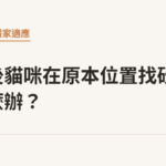 搬家後貓咪在原本位置找砂盆怎麼辦？｜貓咪小百科