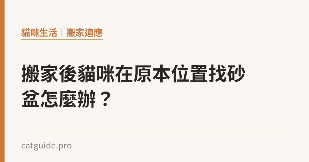 搬家後貓咪在原本位置找砂盆怎麼辦? 搬家後貓咪在原本位置找砂盆怎麼辦?|貓咪小百科