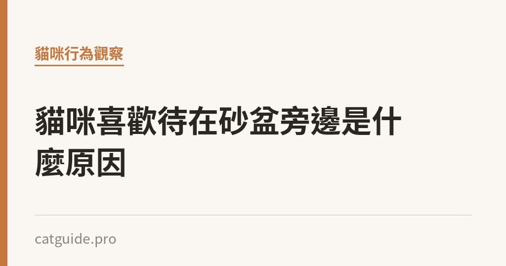 貓咪喜歡待在砂盆旁邊是什麼原因｜貓咪小百科