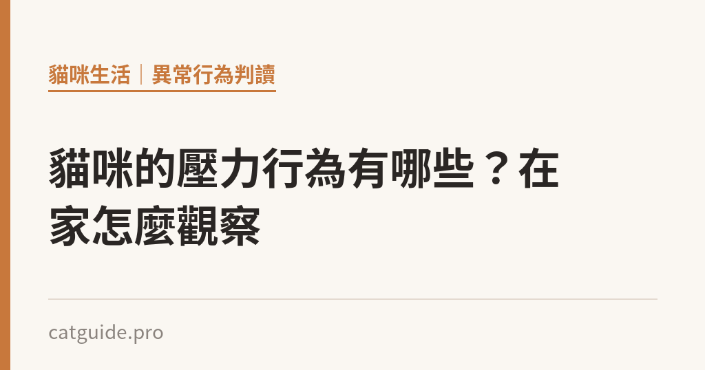 貓咪的壓力行為有哪些？在家怎麼觀察｜貓咪小百科