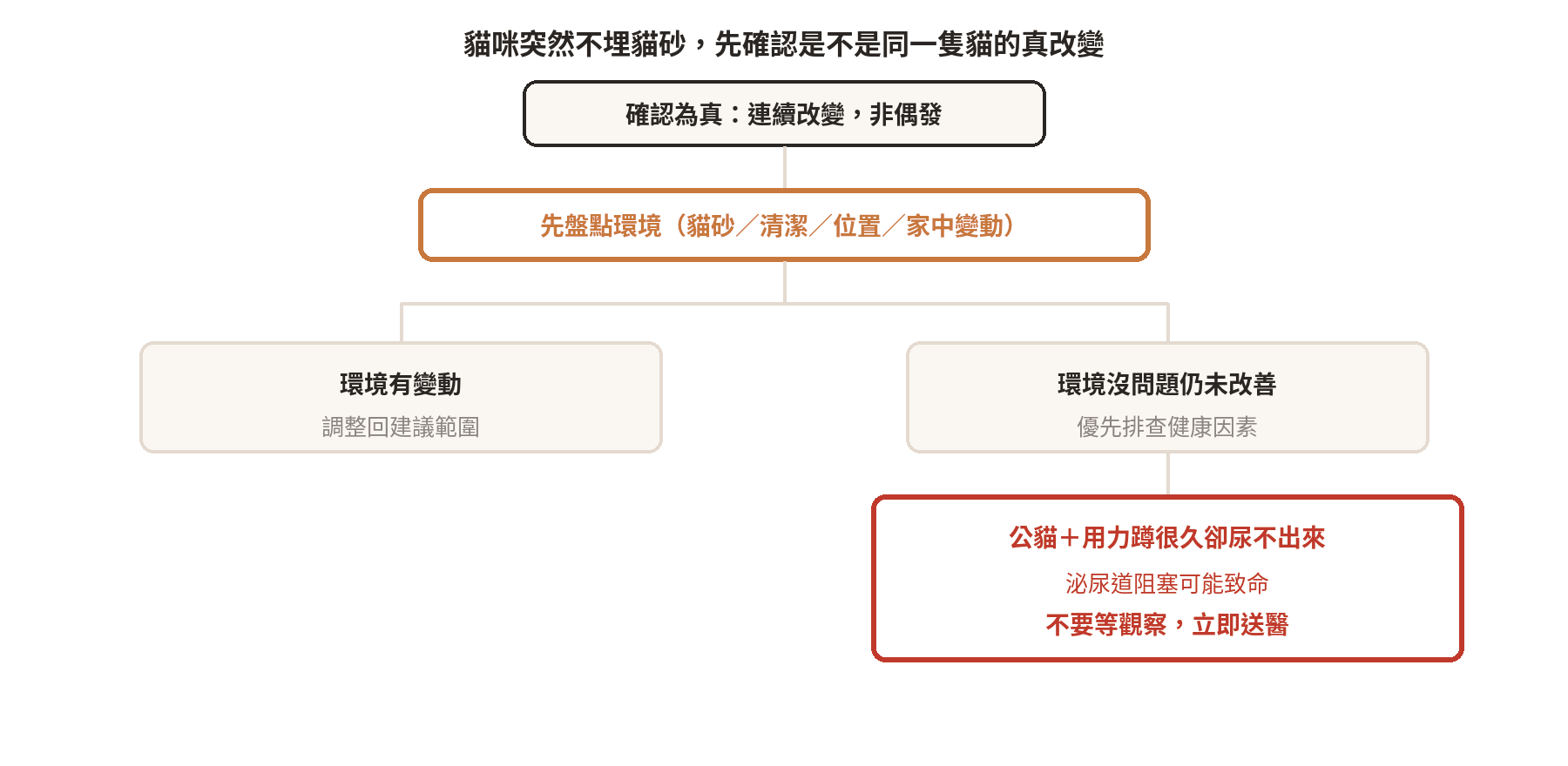 貓咪突然不埋貓砂的判斷路徑：先確認環境是否有變動，環境沒問題仍未改善則優先排查健康，公貓合併用力尿不出要立即就醫