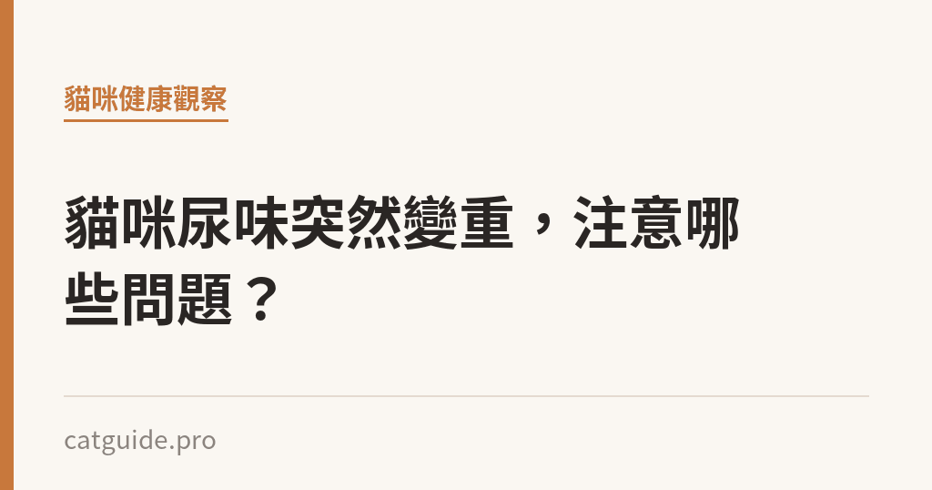 貓咪尿味突然變重，注意哪些問題？｜貓咪小百科