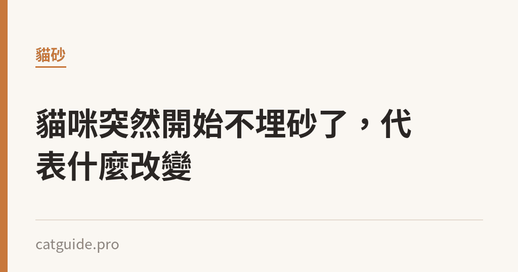 貓咪突然開始不埋砂了，代表什麼改變｜貓咪小百科