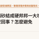 整盆貓砂結成硬邦邦一大塊是怎麼回事？怎麼避免｜貓咪小百科