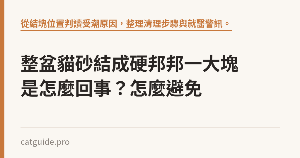 整盆貓砂結成硬邦邦一大塊是怎麼回事？怎麼避免｜貓咪小百科