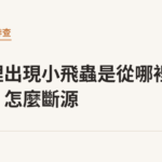 砂盆裡出現小飛蟲是從哪裡來的？怎麼斷源｜貓咪小百科