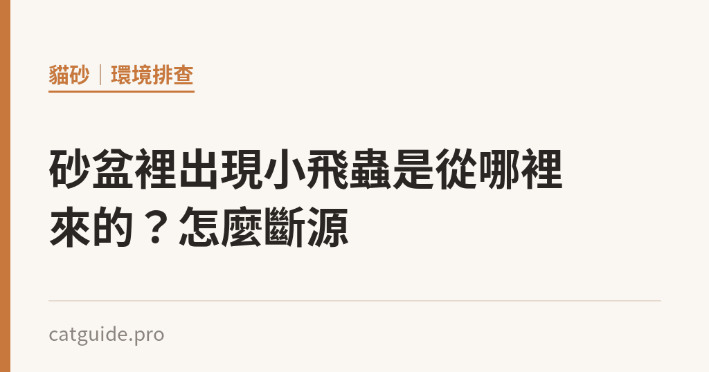 砂盆裡出現小飛蟲是從哪裡來的？怎麼斷源｜貓咪小百科