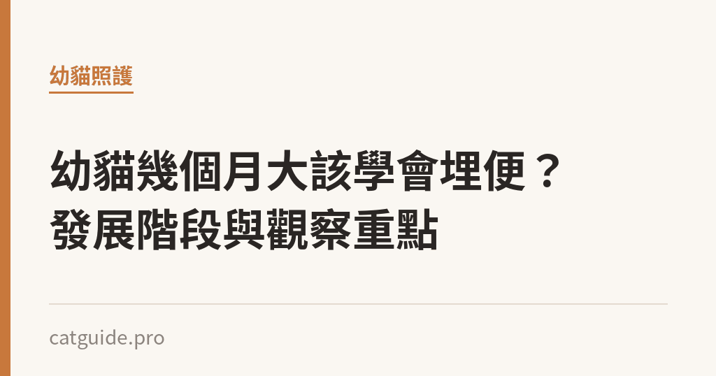 幼貓幾個月大該學會埋便？發展階段與觀察重點｜貓咪小百科