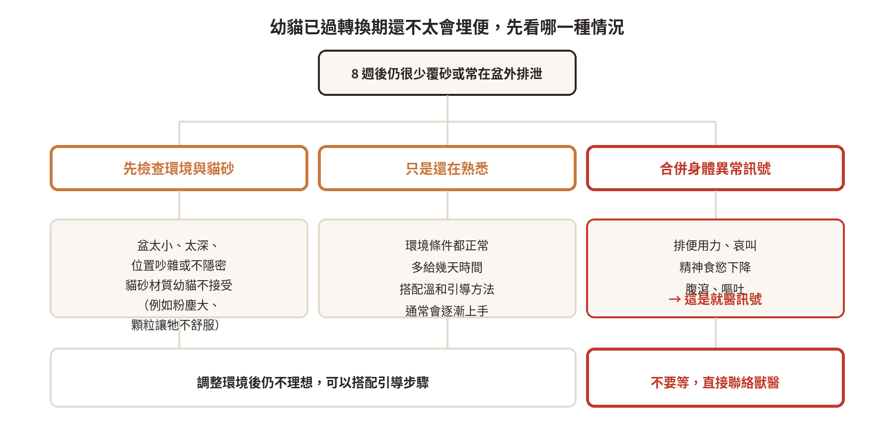 幼貓幾個月大該學會埋便?發展階段與觀察重點 幼貓已過轉換期還不太會埋便時的判斷流程,先分辨是環境問題、還在熟悉,或合併身體異常訊號