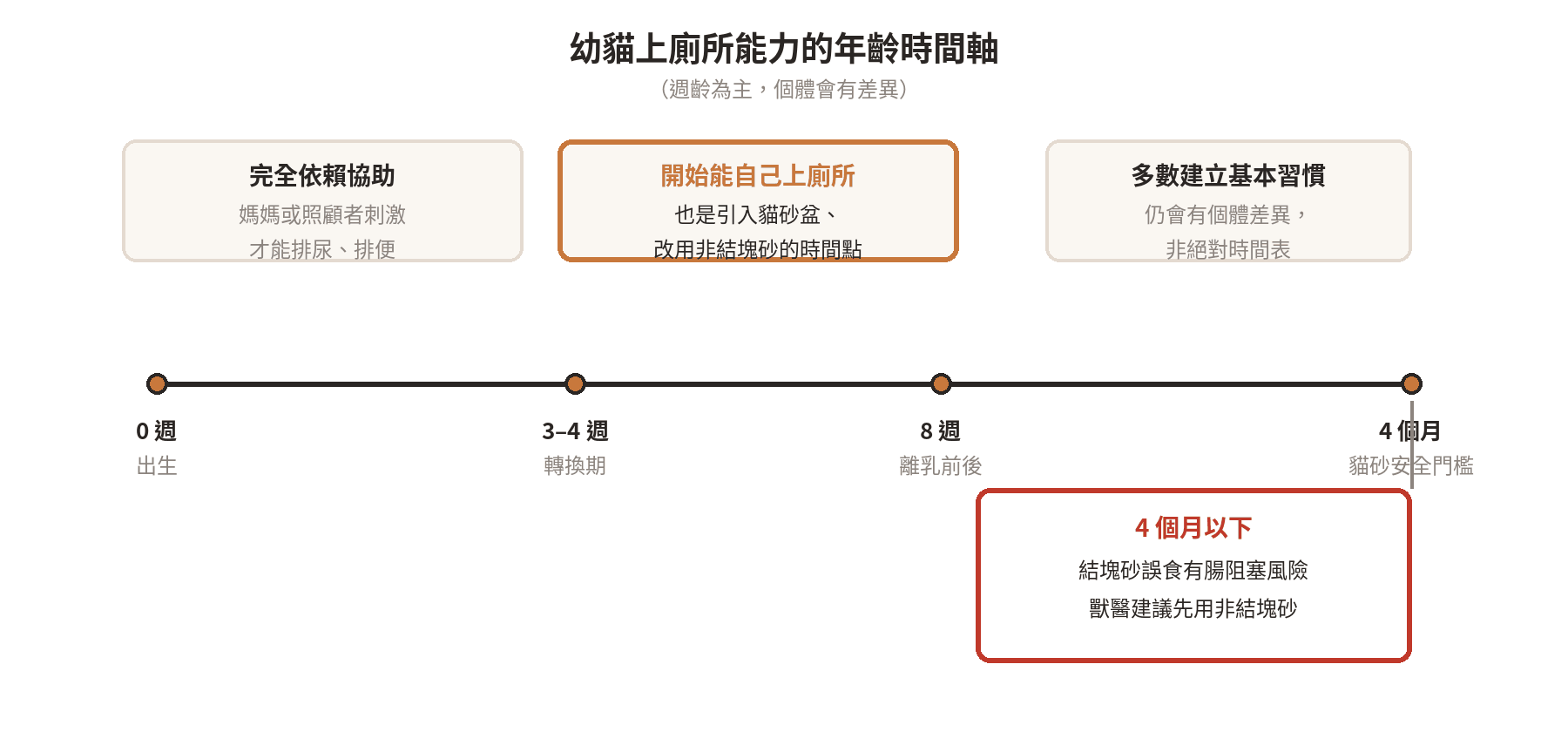 幼貓幾個月大該學會埋便?發展階段與觀察重點 幼貓從出生到能自己上廁所、埋便的年齡時間軸,標示 0 週、3 到 4 週轉換期、8 週離乳前後與 4 個月貓砂安全門檻