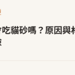 幼貓會吃貓砂嗎？原因與材質風險｜貓咪小百科