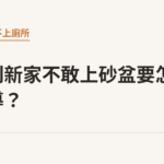 幼貓到新家不敢上砂盆要怎麼引導？｜貓咪小百科