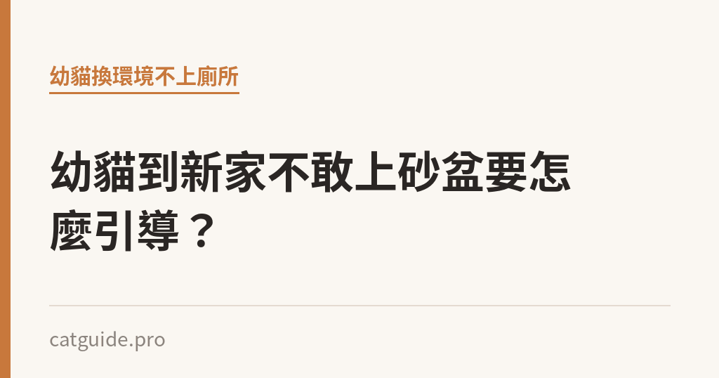 幼貓到新家不敢上砂盆要怎麼引導？｜貓咪小百科