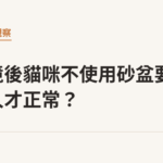 換環境後貓咪不使用砂盆要等多久才正常？｜貓咪小百科
