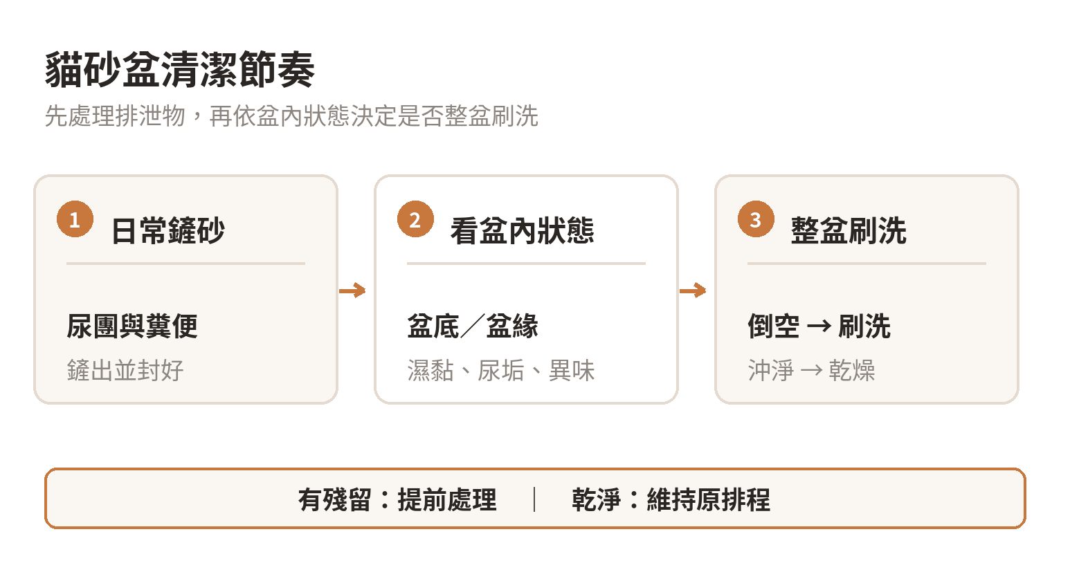 貓砂盆從日常鏟砂、檢查殘留到整盆刷洗的清潔節奏示意圖