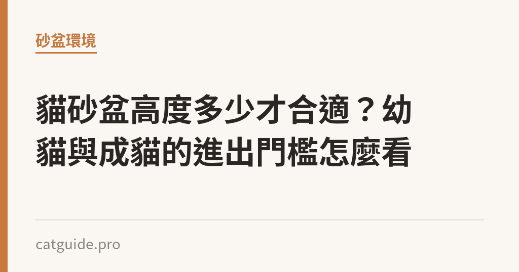 貓砂盆高度多少才合適？幼貓與成貓的進出門檻怎麼看｜貓咪小百科