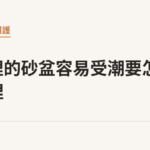 浴室裡的砂盆容易受潮要怎麼處理｜貓咪小百科