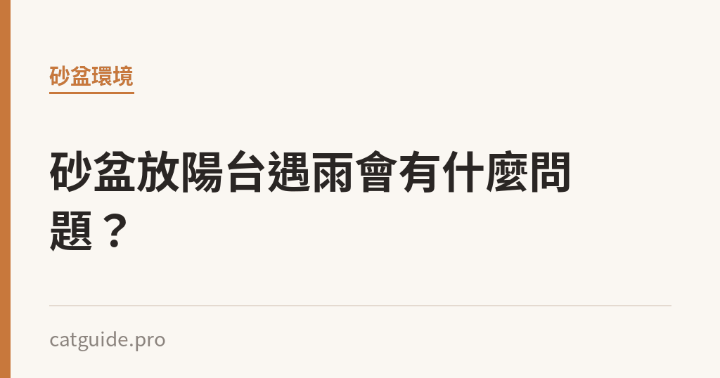 砂盆放陽台遇雨會有什麼問題？｜貓咪小百科