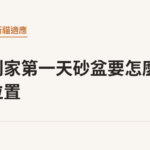 新貓到家第一天砂盆要怎麼安排位置｜貓咪小百科