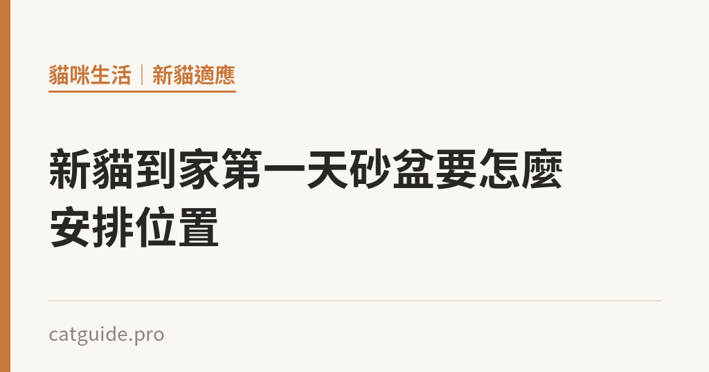 新貓到家第一天砂盆要怎麼安排位置 新貓到家第一天砂盆要怎麼安排位置|貓咪小百科