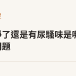 鏟乾淨了還是有尿騷味是哪裡的問題｜貓咪小百科
