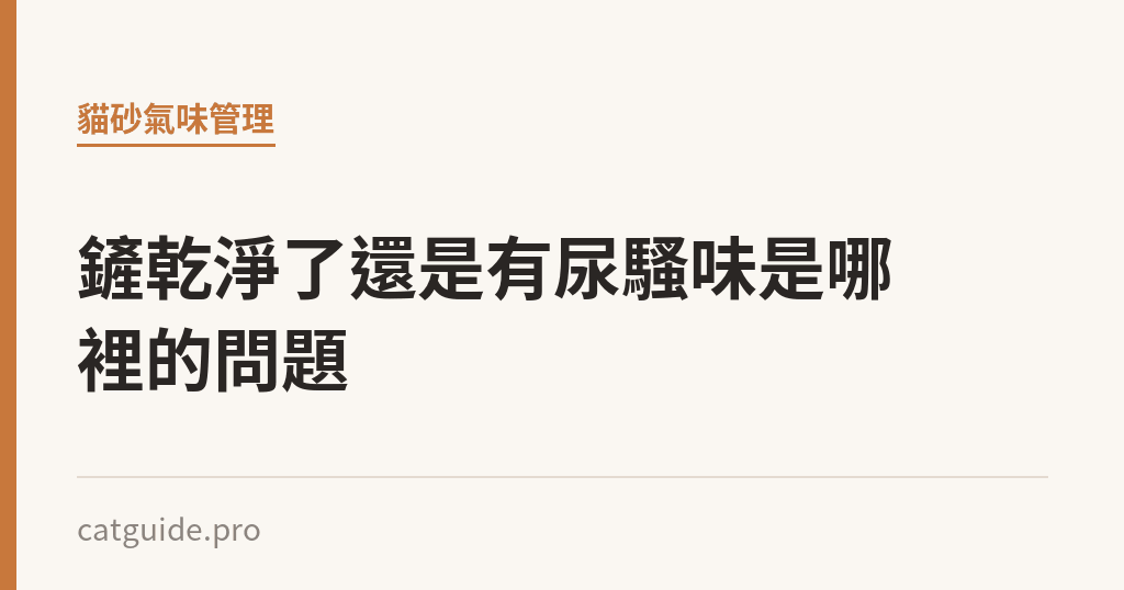 鏟乾淨了還是有尿騷味是哪裡的問題｜貓咪小百科