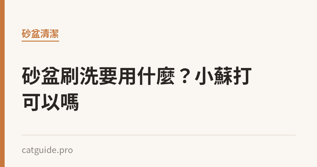 砂盆刷洗要用什麼？小蘇打可以嗎｜貓咪小百科