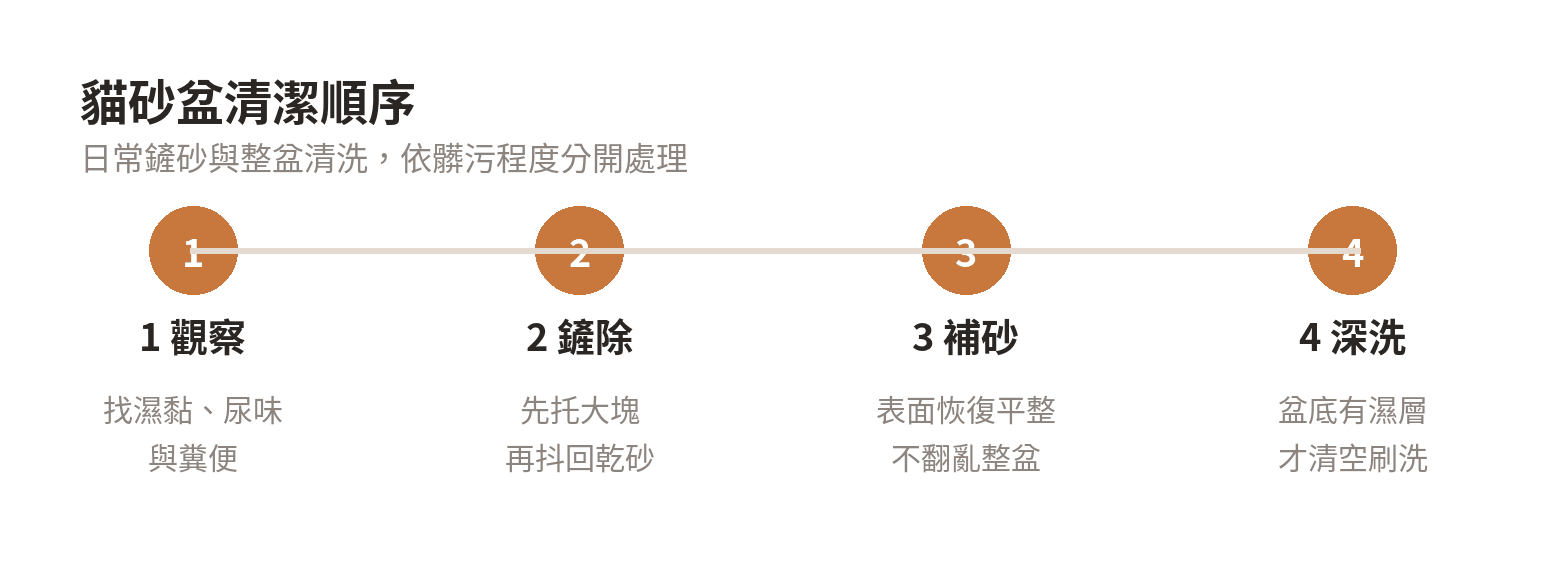 結不成塊的小顆粒要不要一起鏟掉? 貓砂盆從觀察、鏟除濕砂到補砂與清洗的四步驟順序圖