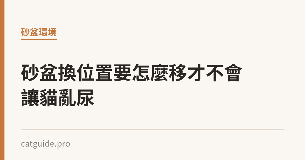 砂盆換位置要怎麼移才不會讓貓亂尿｜貓咪小百科