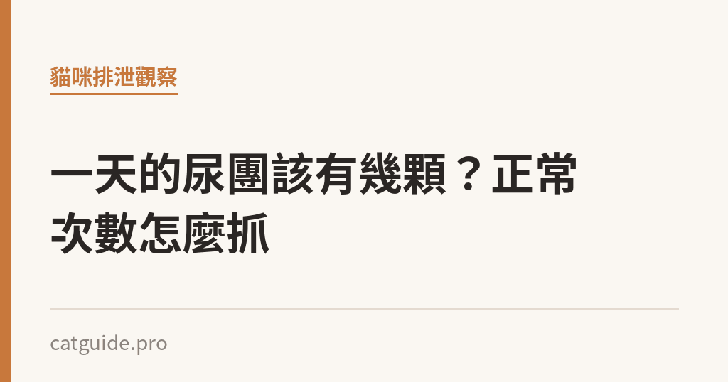一天的尿團該有幾顆？正常次數怎麼抓｜貓咪小百科