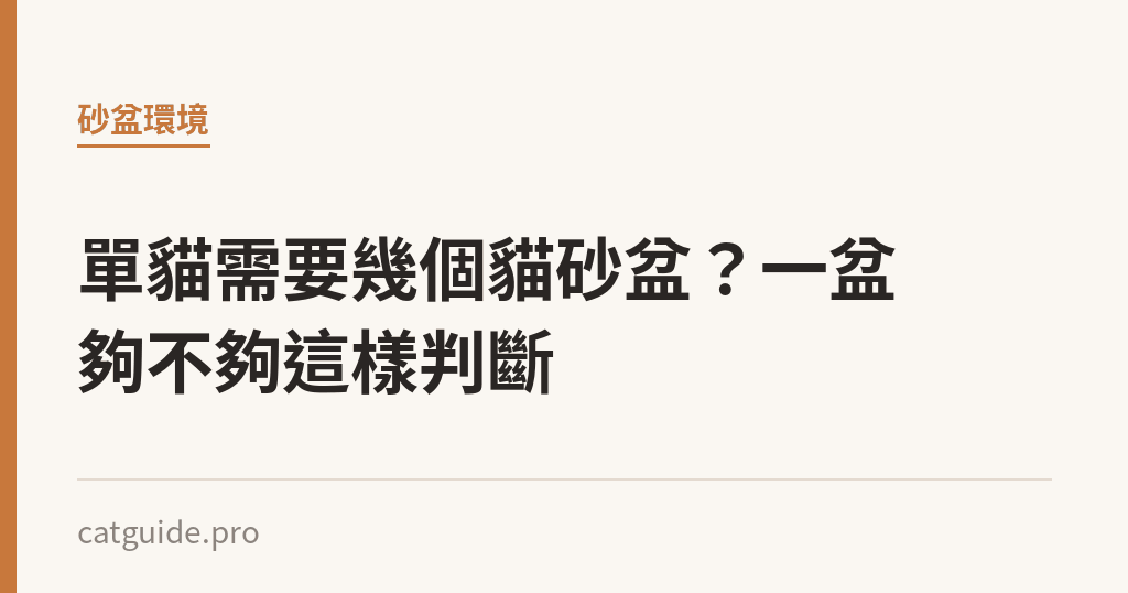 單貓需要幾個貓砂盆？一盆夠不夠這樣判斷｜貓咪小百科