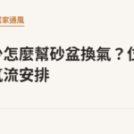 窗戶少怎麼幫砂盆換氣？位置與氣流安排｜貓咪小百科