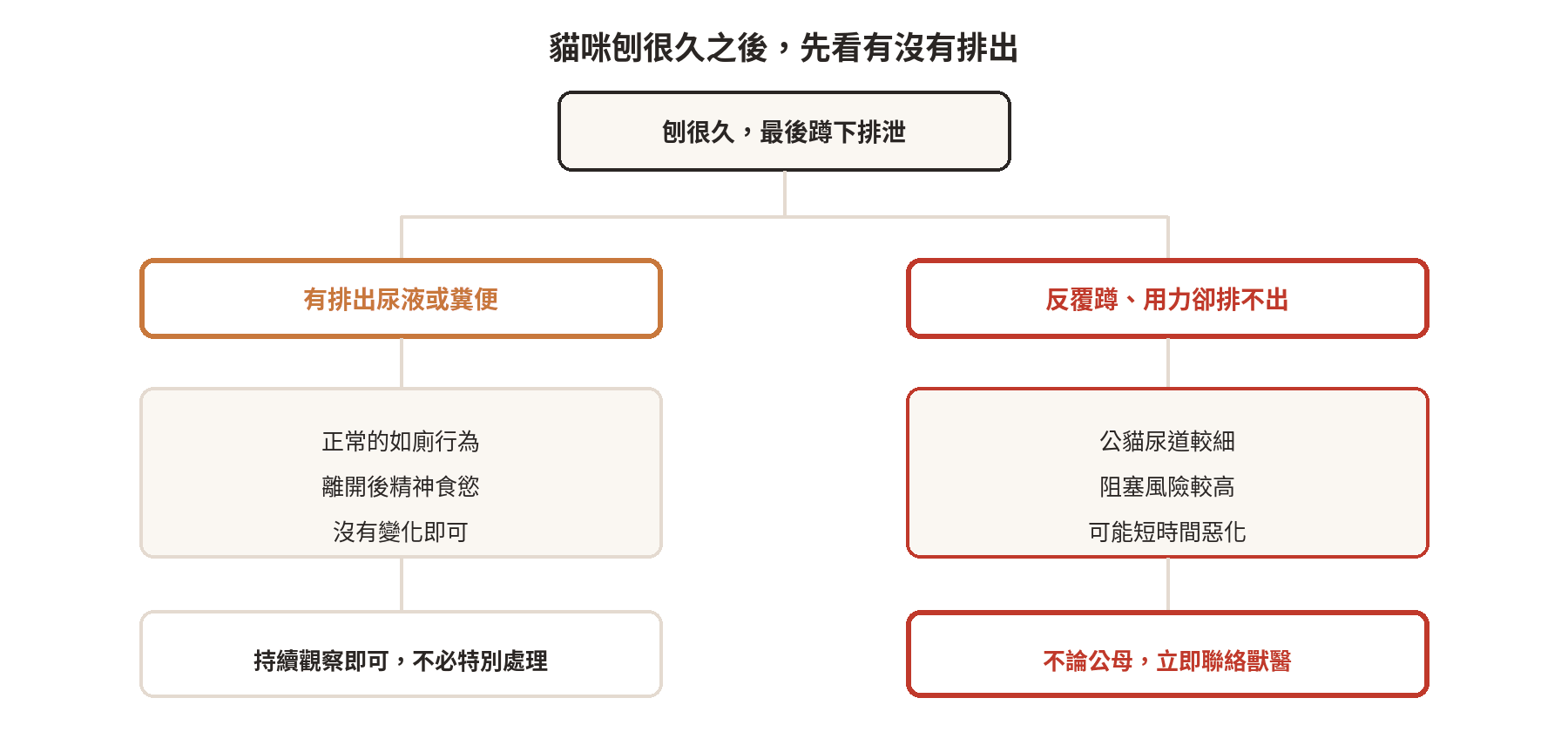 貓咪刨很久後是否有排出尿液或糞便的判斷路徑，區分正常觀察與立即就醫兩種情況