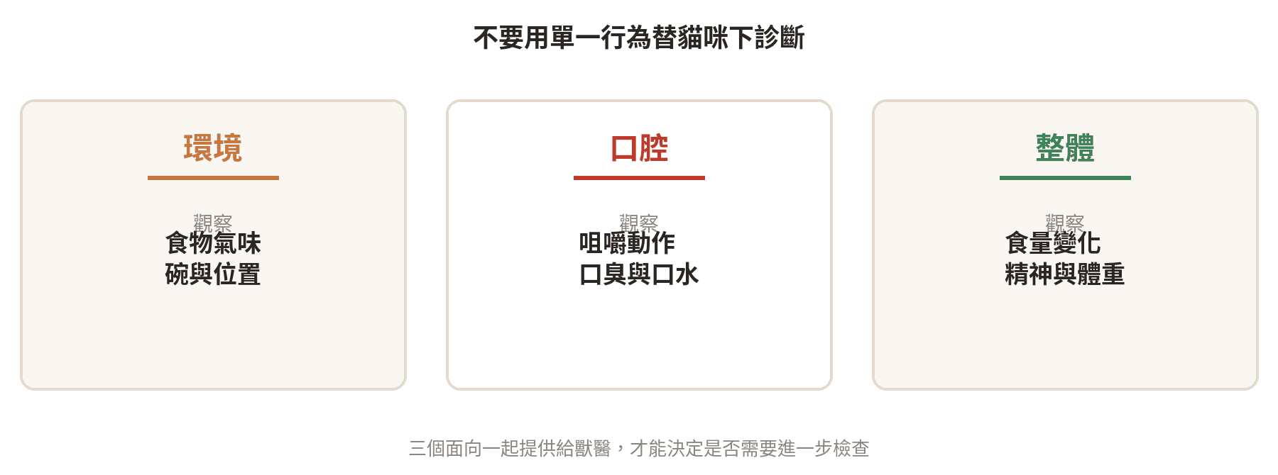 老貓進食觀察分成食物環境、咀嚼口腔與身體狀態三個面向的示意圖