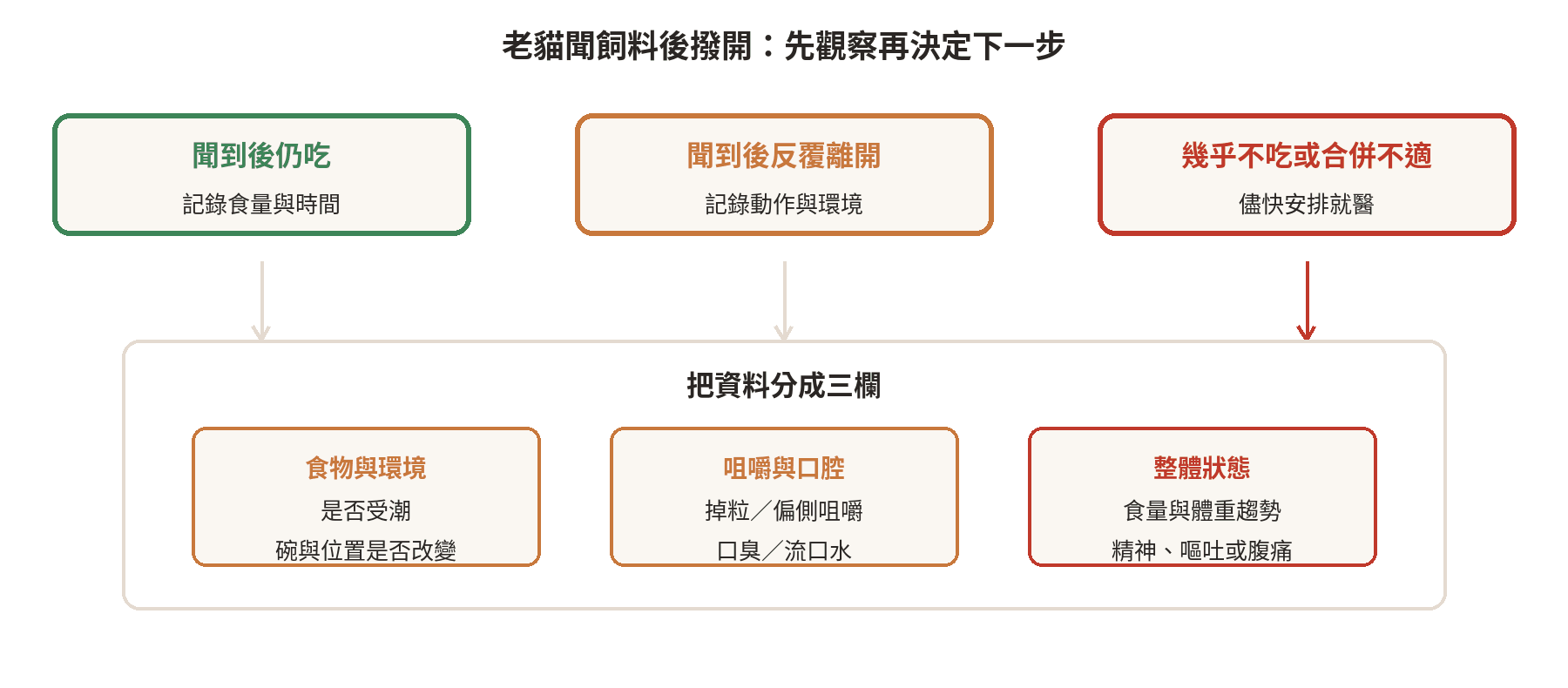 老貓聞飼料後撥開時，從進食行為到就醫判斷的觀察流程圖