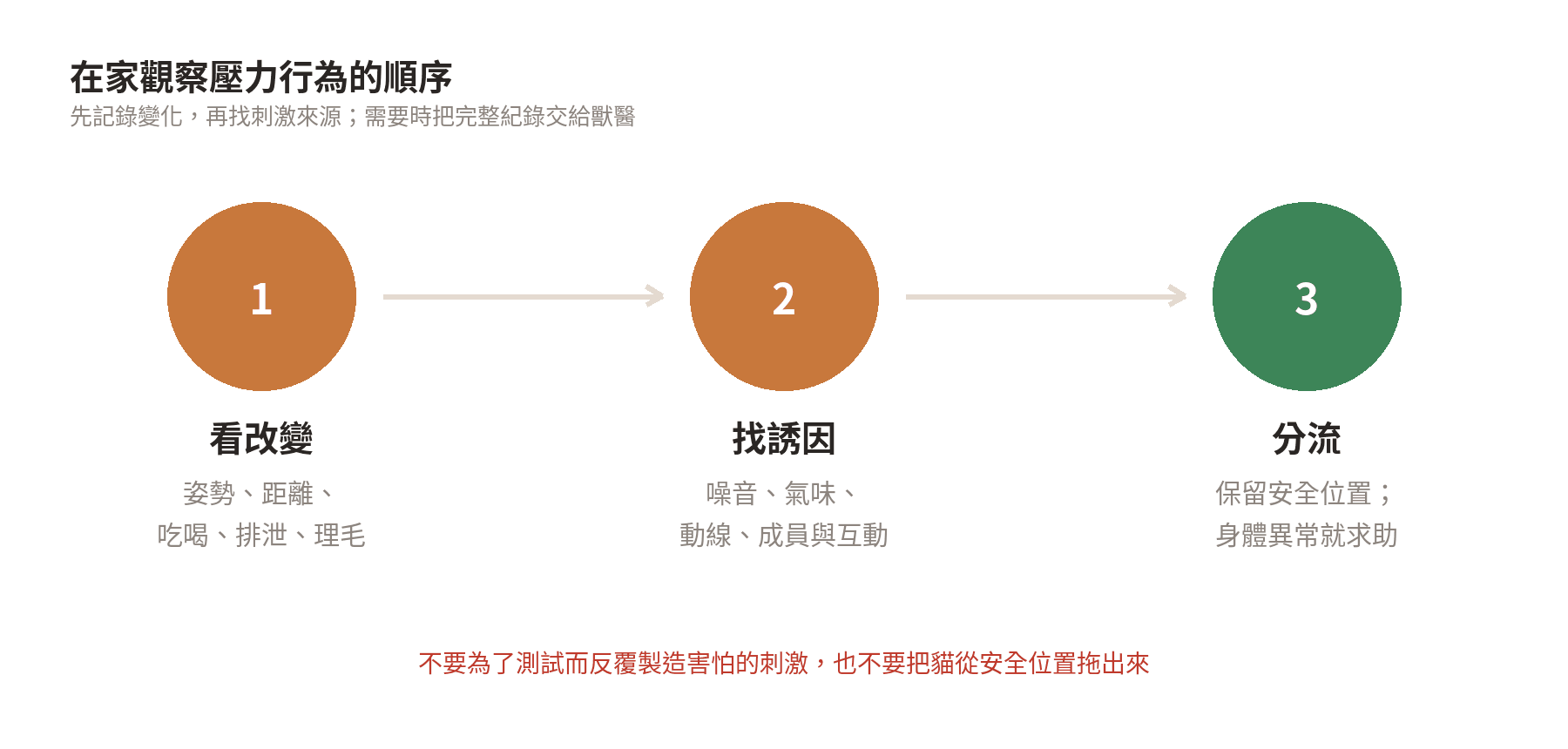 貓咪壓力行為的居家觀察流程：先看變化、再查誘因、最後判斷是否需要專業協助
