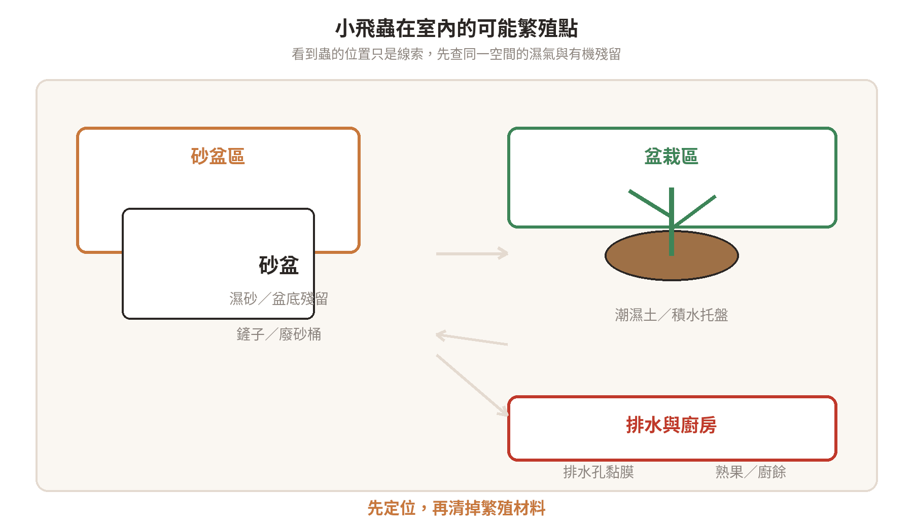 以砂盆、盆栽、排水孔與廚餘桶標示小飛蟲可能繁殖點的室內查找示意圖