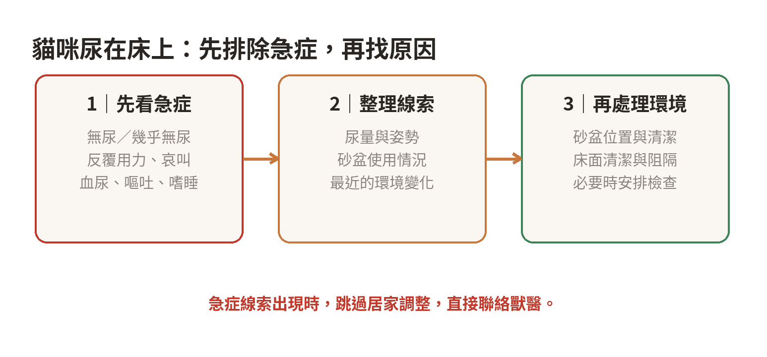 貓咪尿在床上的三段式判斷流程