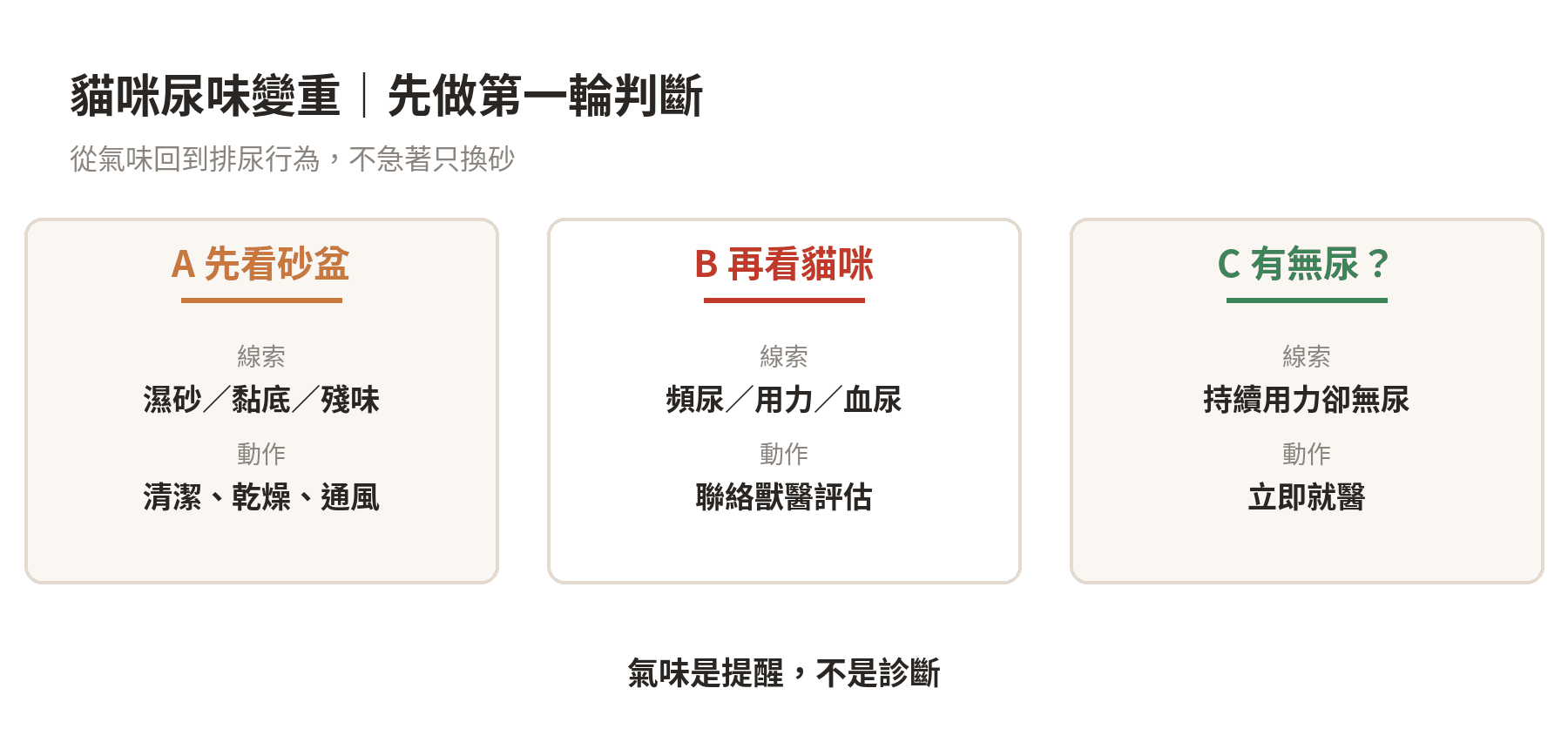 貓咪尿味突然變重,注意哪些問題? 貓咪尿味變重時,先分辨環境因素與排尿異常的判斷流程