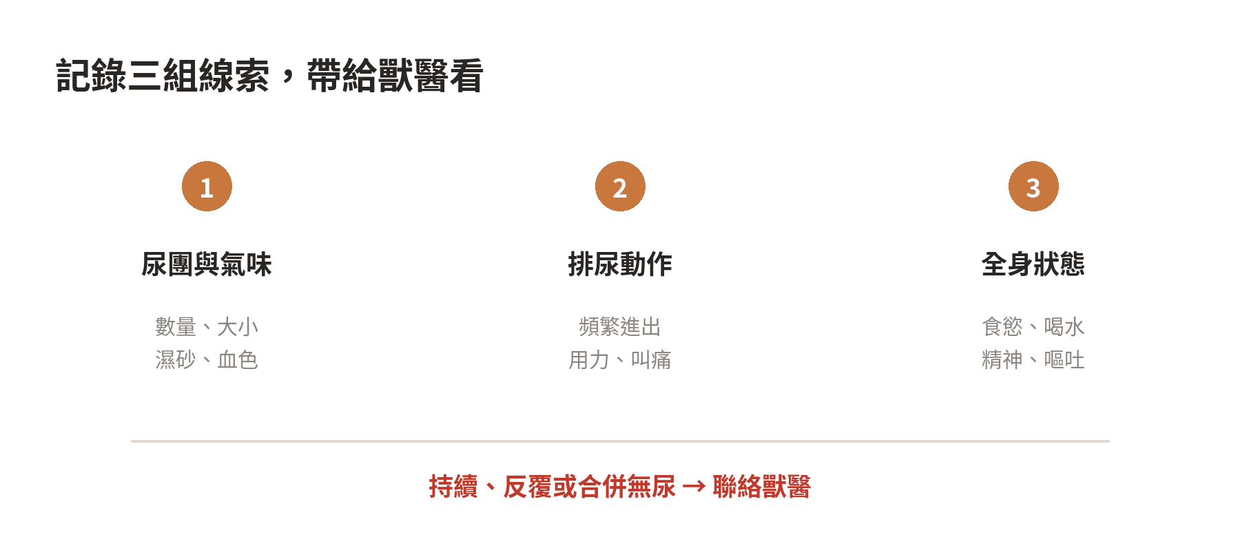 貓咪尿味突然變重,注意哪些問題? 記錄貓咪尿味變化時要觀察的尿團、動作與全身狀態三個面向