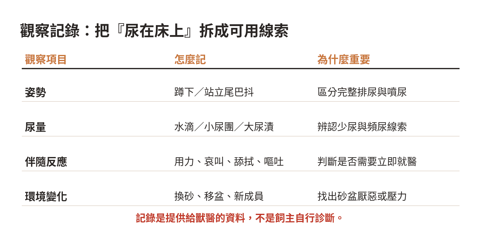 貓咪尿在床上的觀察記錄重點